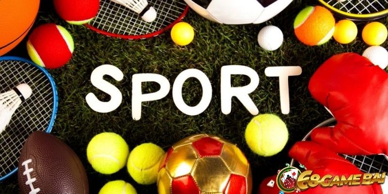 Giới thiệu sơ nét về sảnh thể thao UG Sports